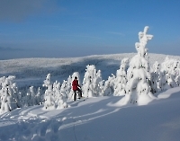Heiko versuchte den Aufstieg bis zum Gipfelfelsen mit Ski