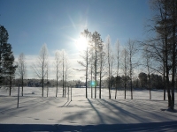 Sonnenschein und Milliarden Diamanten