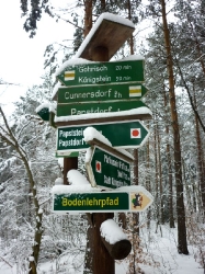 Schilderwald